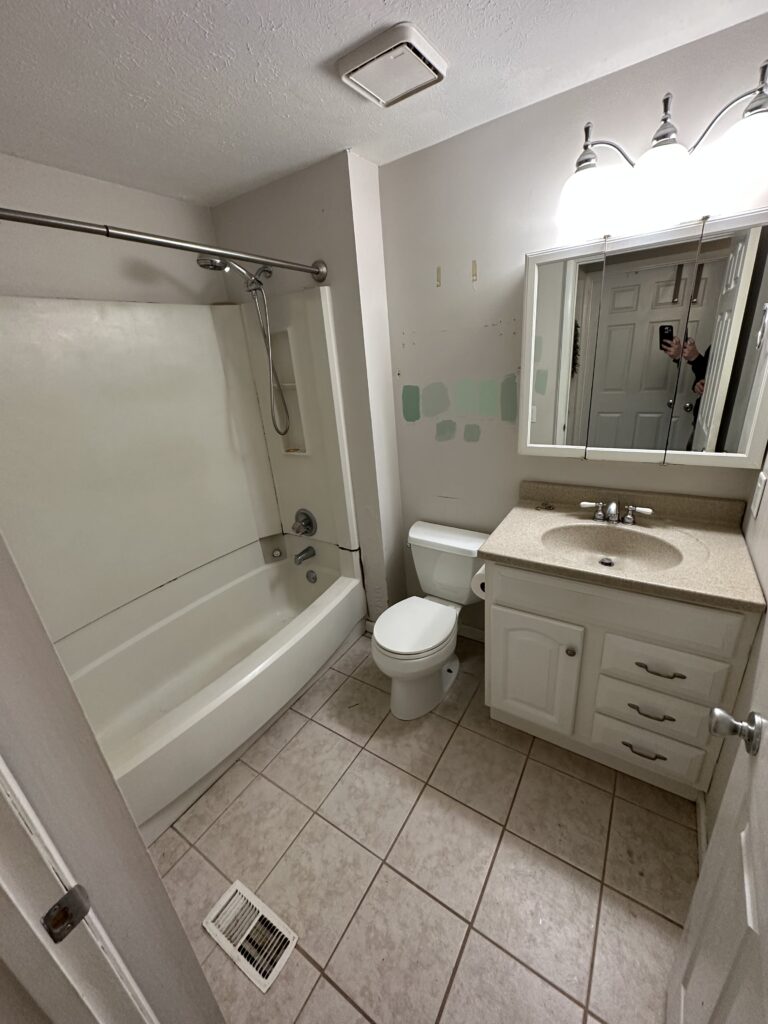 Bathroom Transformed