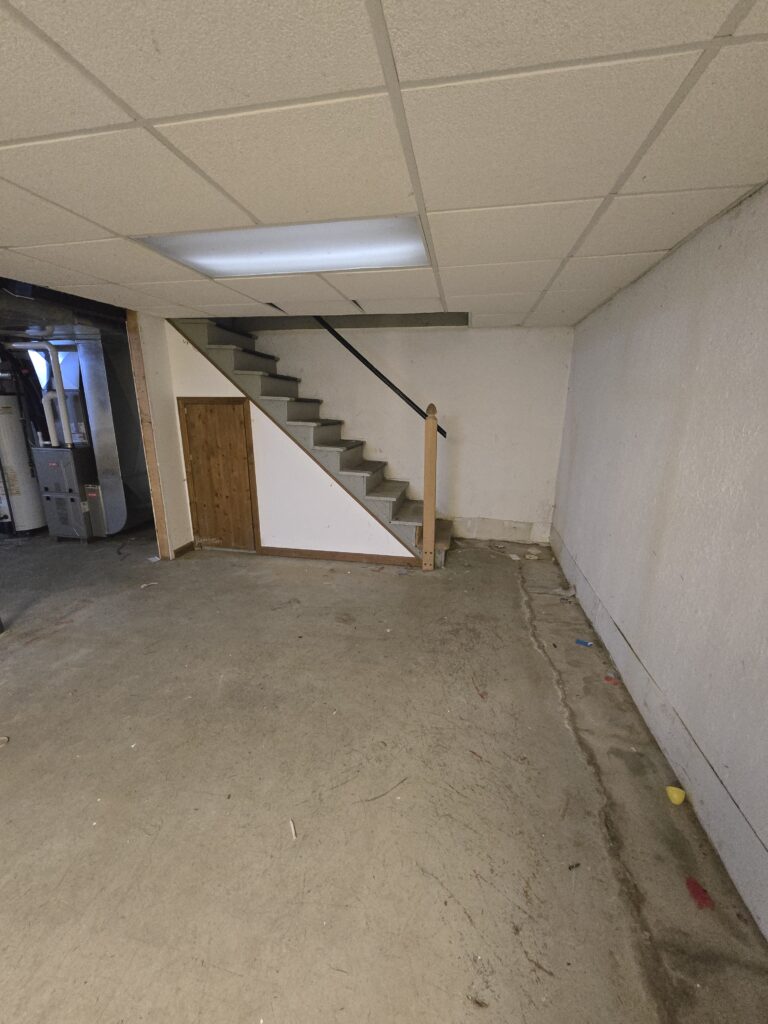 Basement Renovation
