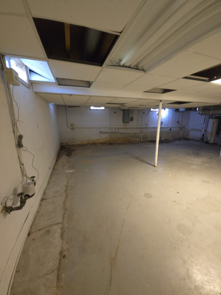 Basement Renovation