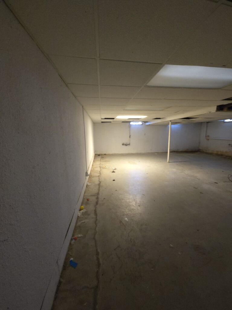 Basement Renovation