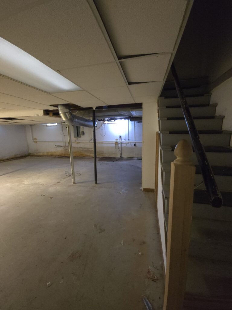 Basement Renovation