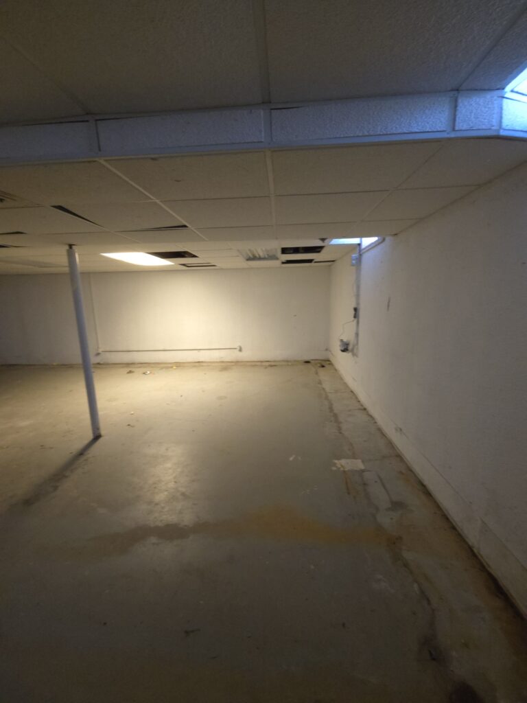 Basement Renovation