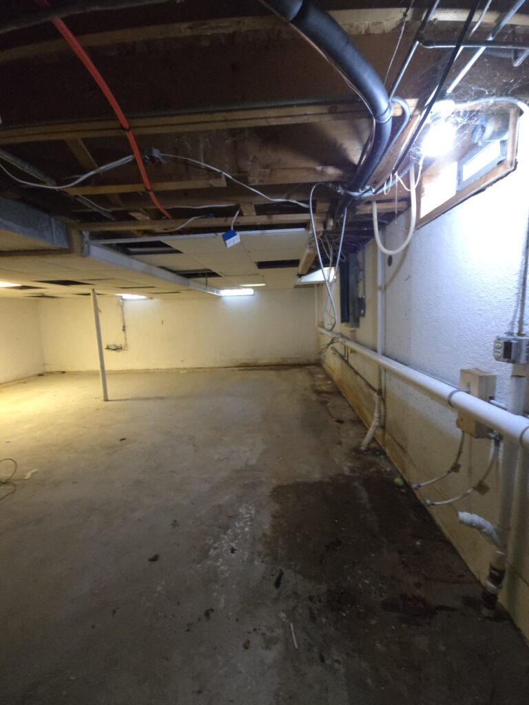 Basement Renovation