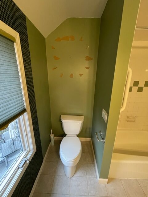 Bathroom Update
