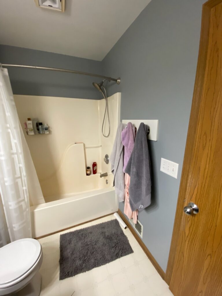 Master Bathroom and Laundry