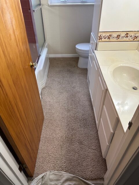 Bath Remodel with Flexstone