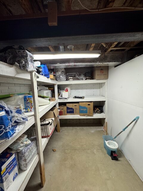 Basement Bathroom