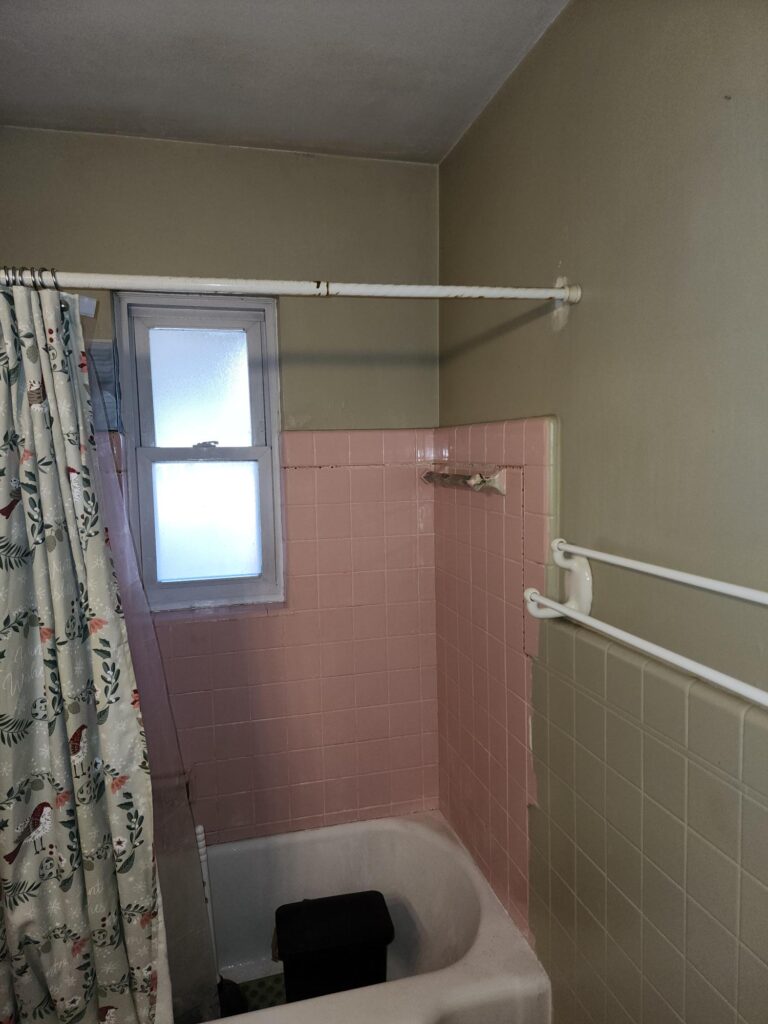 Old Bathroom Renewed!
