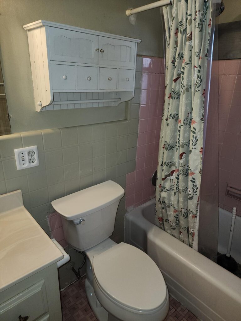 Old Bathroom Renewed!