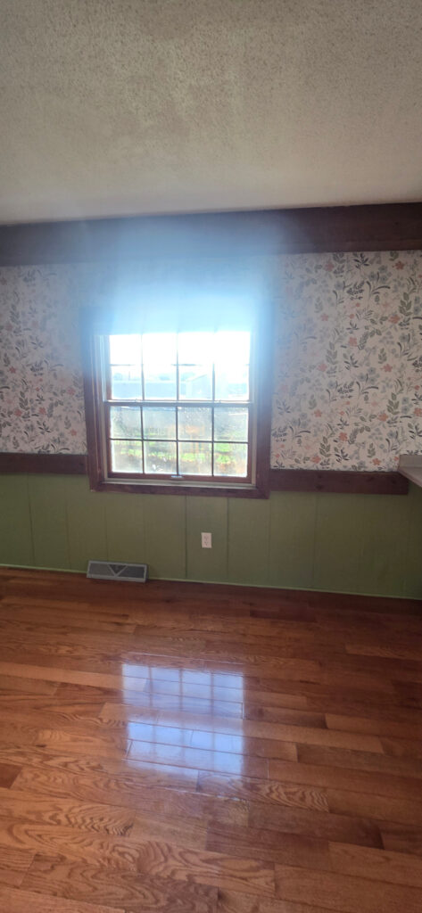 Kitchen Renovation