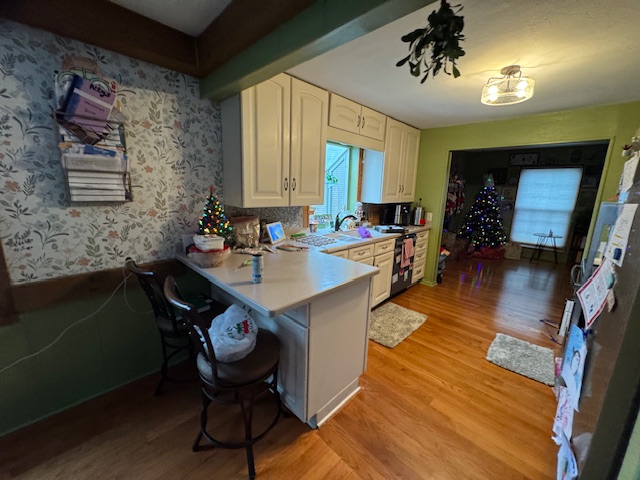 Kitchen Renovation