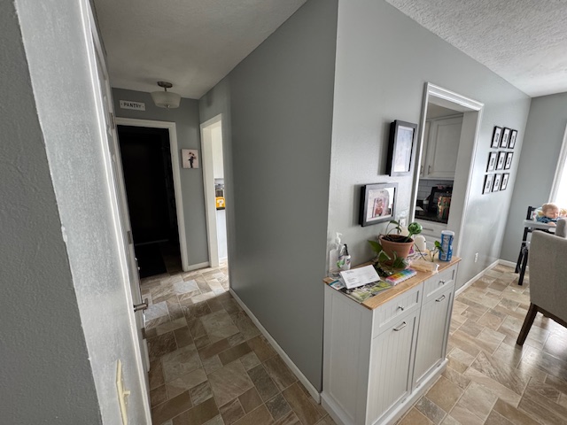 Open Concept Kitchen