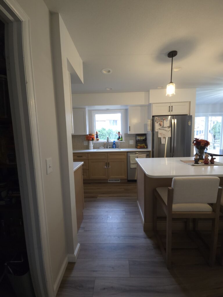 Open Concept Kitchen