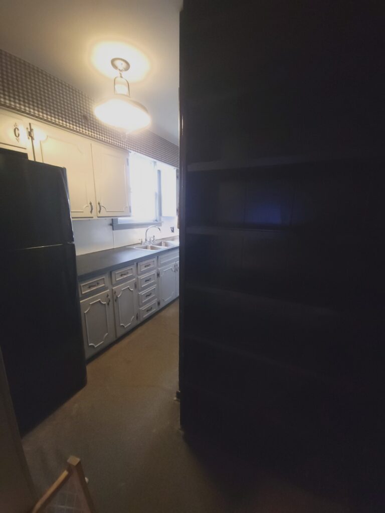 Huge Kitchen Transformation!