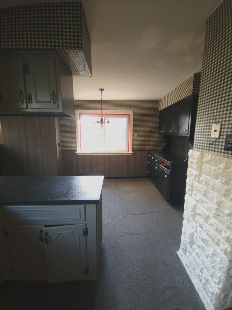 Huge Kitchen Transformation!