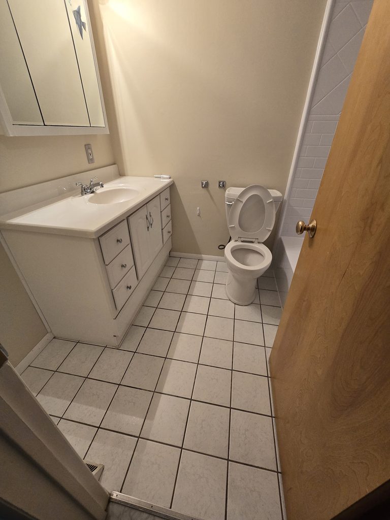 Bathroom Facelift