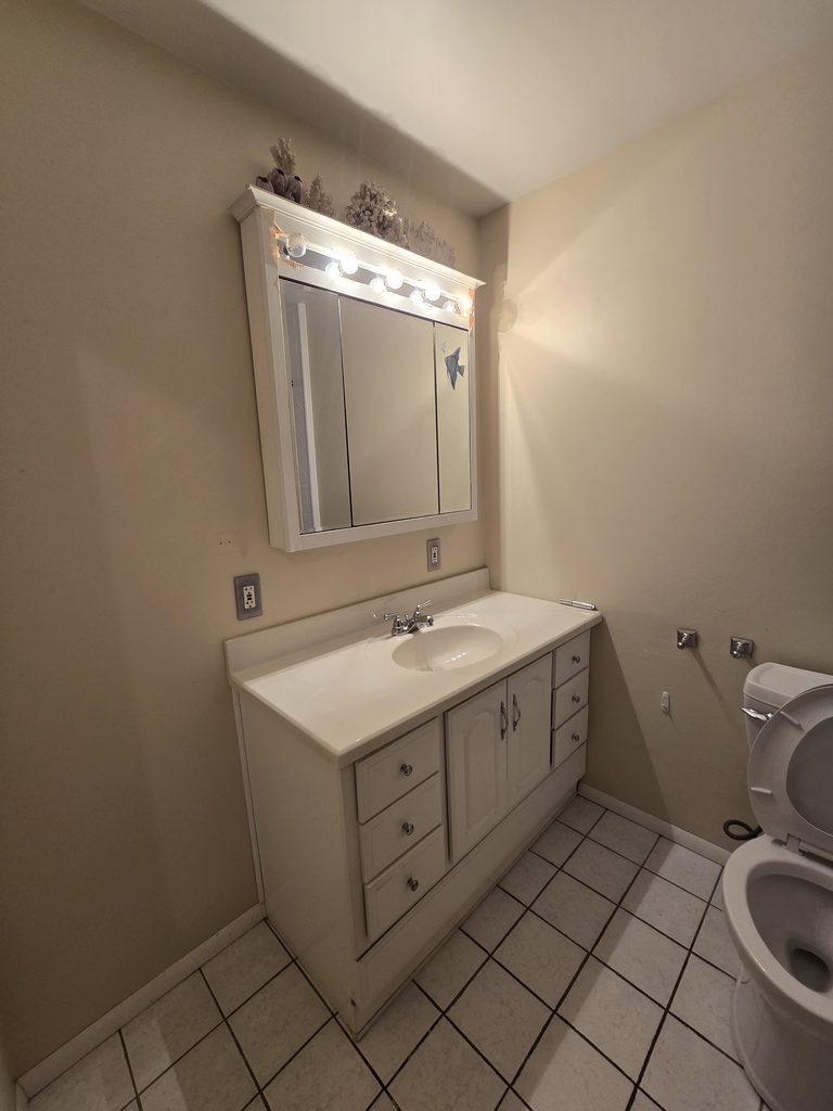 Bathroom Facelift