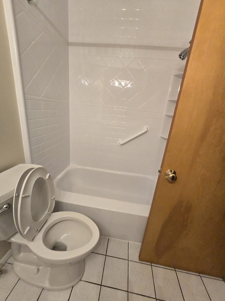 Bathroom Facelift