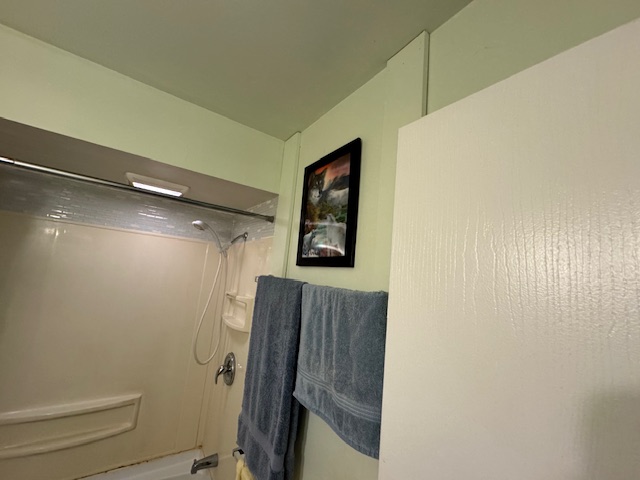 Flexstone Shower Conversion